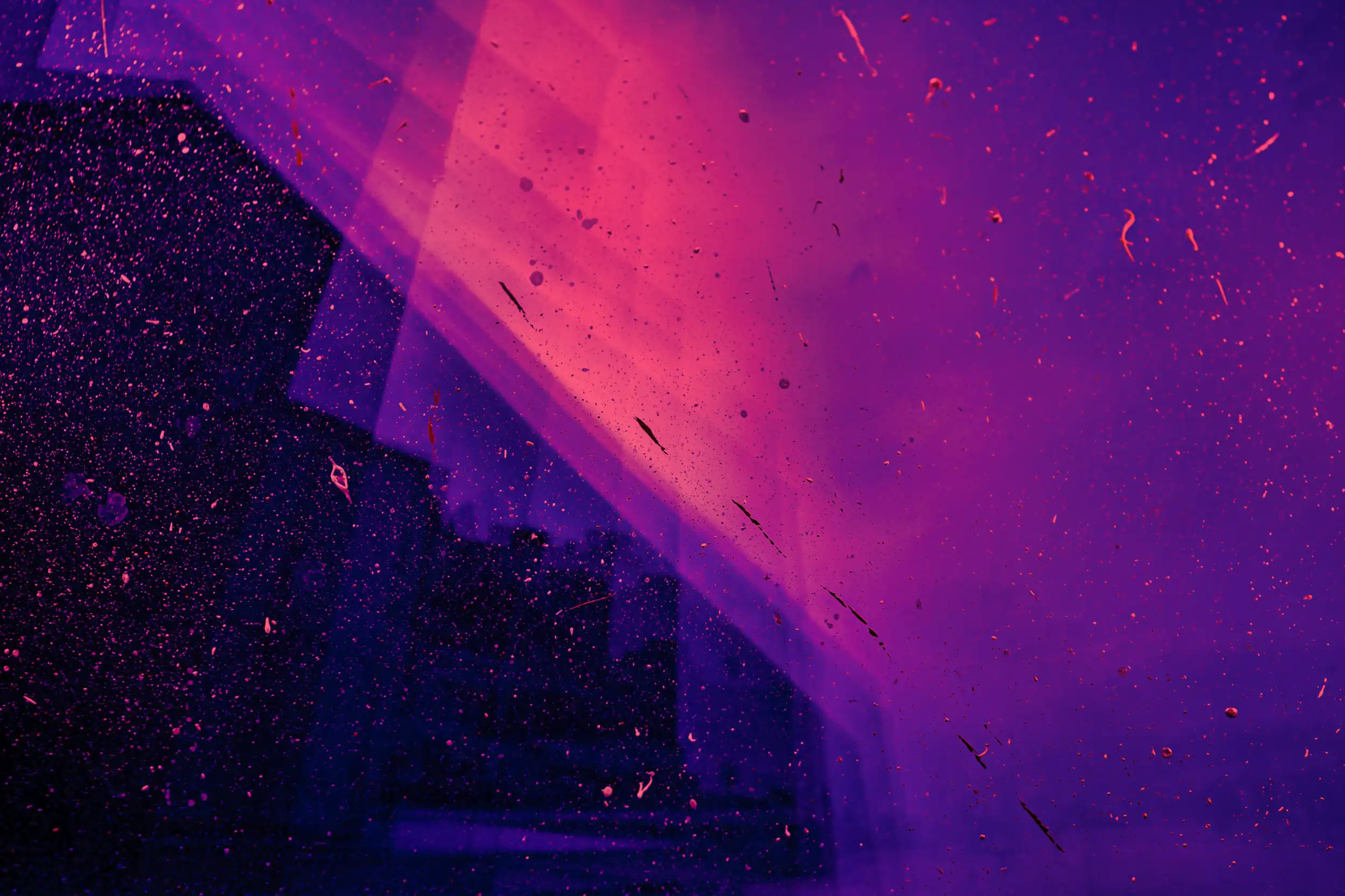fondo purpura identia fondo purpura identia